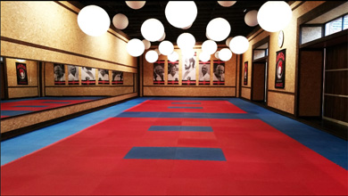Honbu-Dojo Deutschland