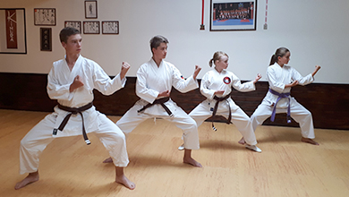 Karatetraining fuer jugendliche leipzig sachsen makkleeberg